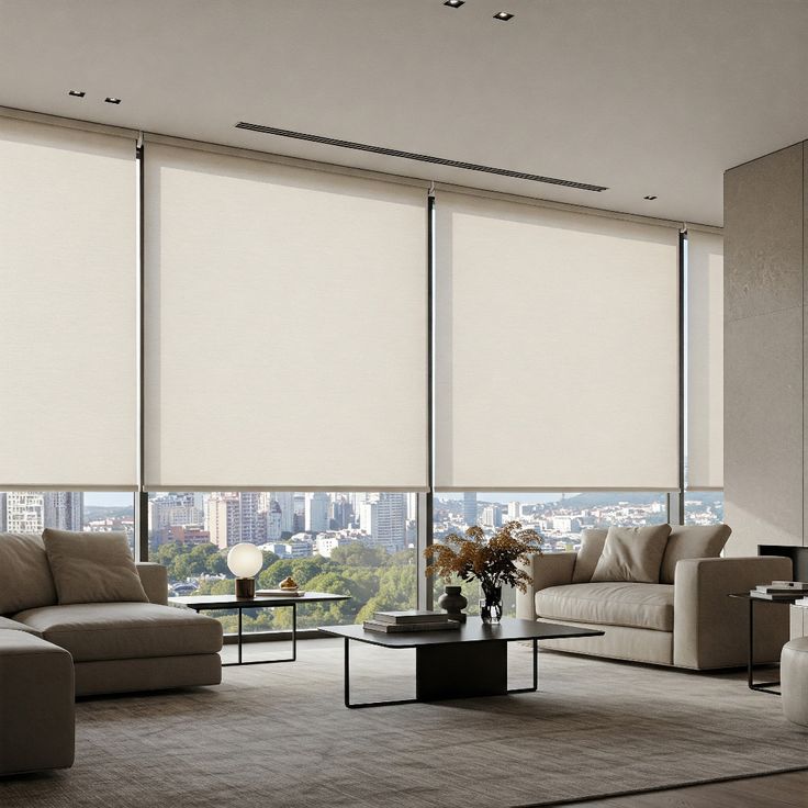 Sunscreen roller Blinds